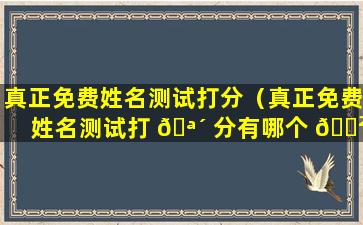 真正免费姓名测试打分（真正免费姓名测试打 🪴 分有哪个 🌲 网站怎么收不到了）